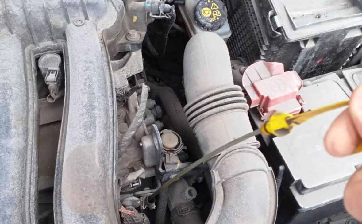 РБК Черноземье