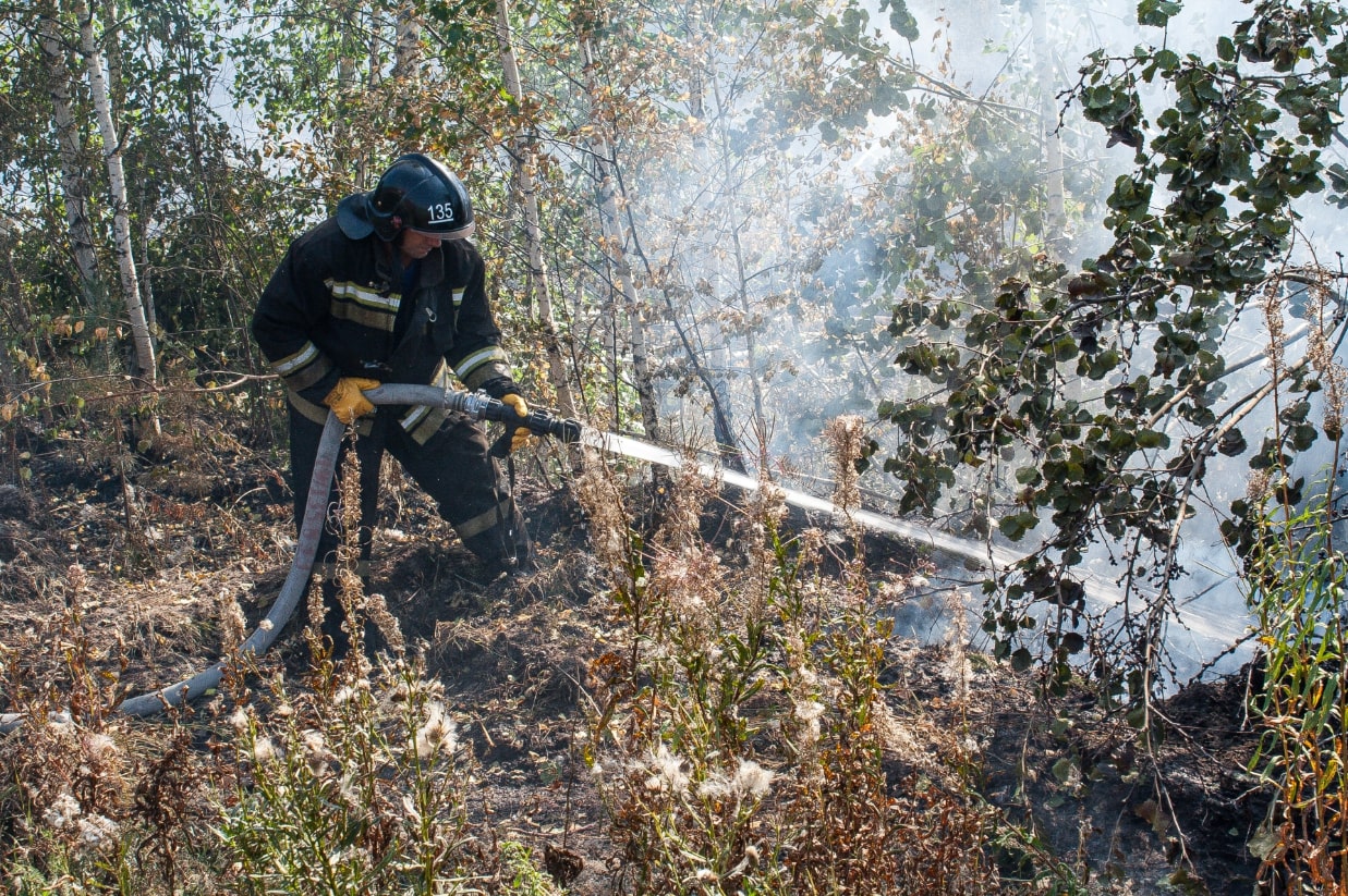 Фото: Денис Моргунов / URA.RU