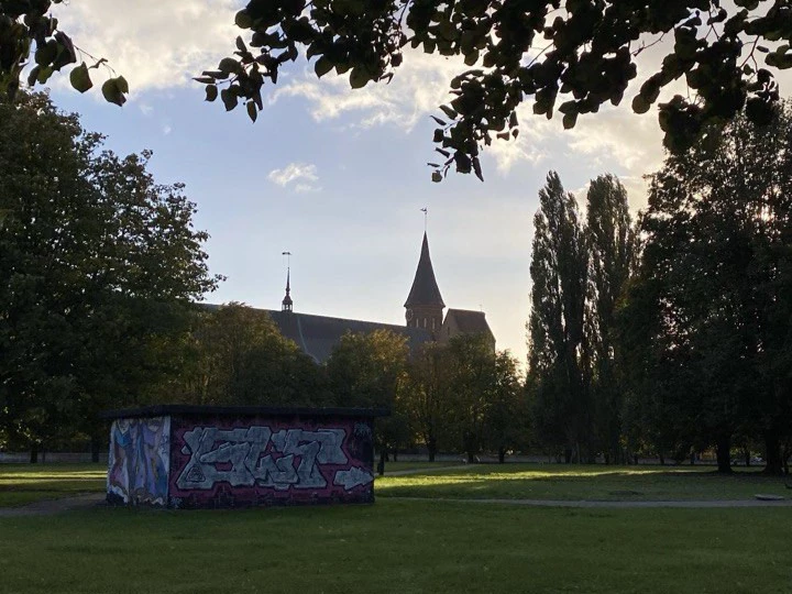 Надежда Будрина