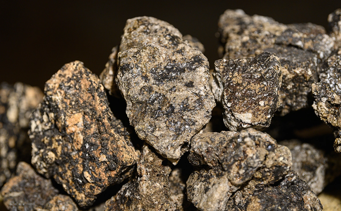 Robert Michael / dpa / Global Look Press