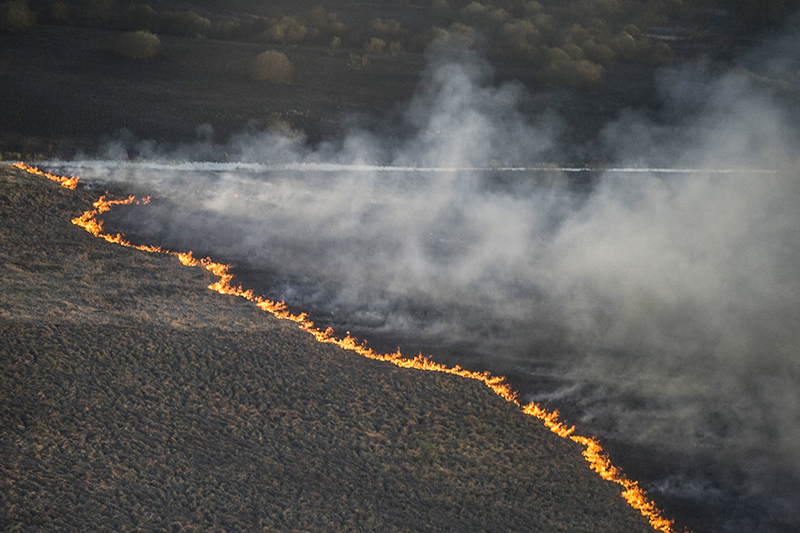 Фото: Getty Images