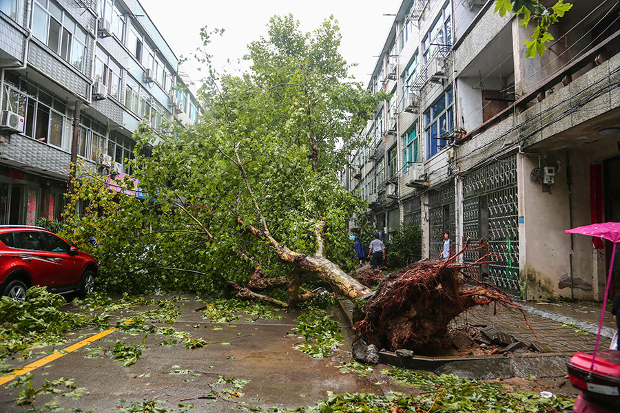 Из-за косвенного влияния тайфуна штормовое предупреждение объявили в российском Приморье