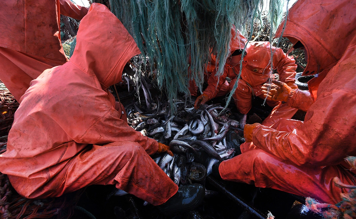 Виталий Аньков / РИА Новости