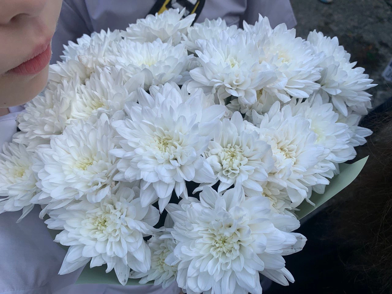 РБК Приморье