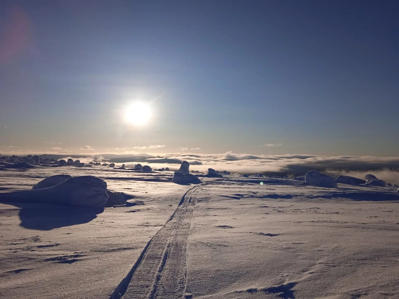 Государственный природный заповедник «Вишерский»
