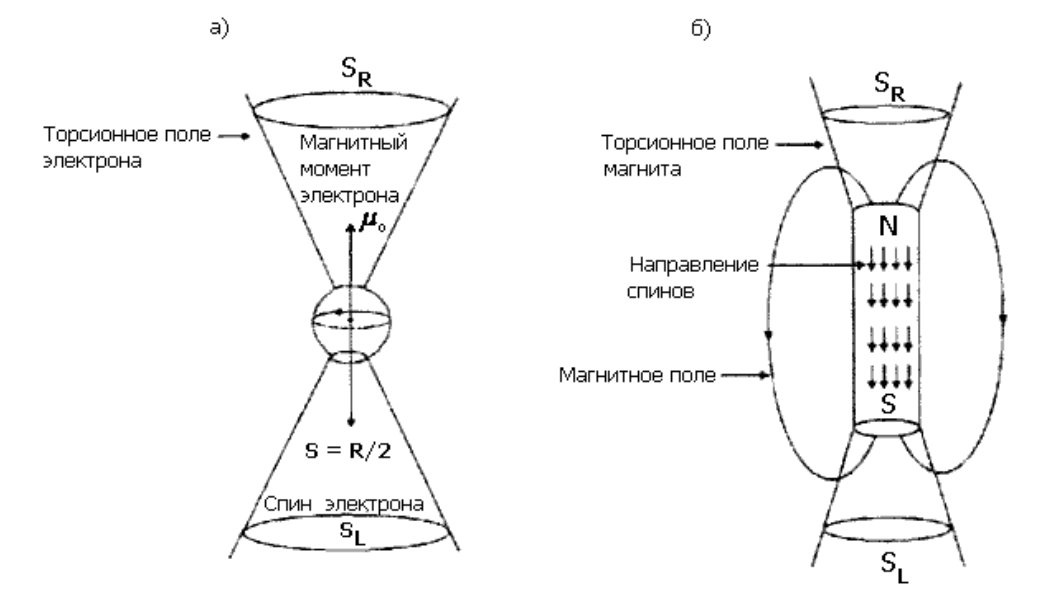 Торсионные поля, создаваемые отдельным электроном и постоянным магнитом, согласно теории Шипова