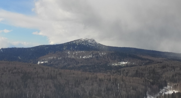 Фото: РБК Пермь