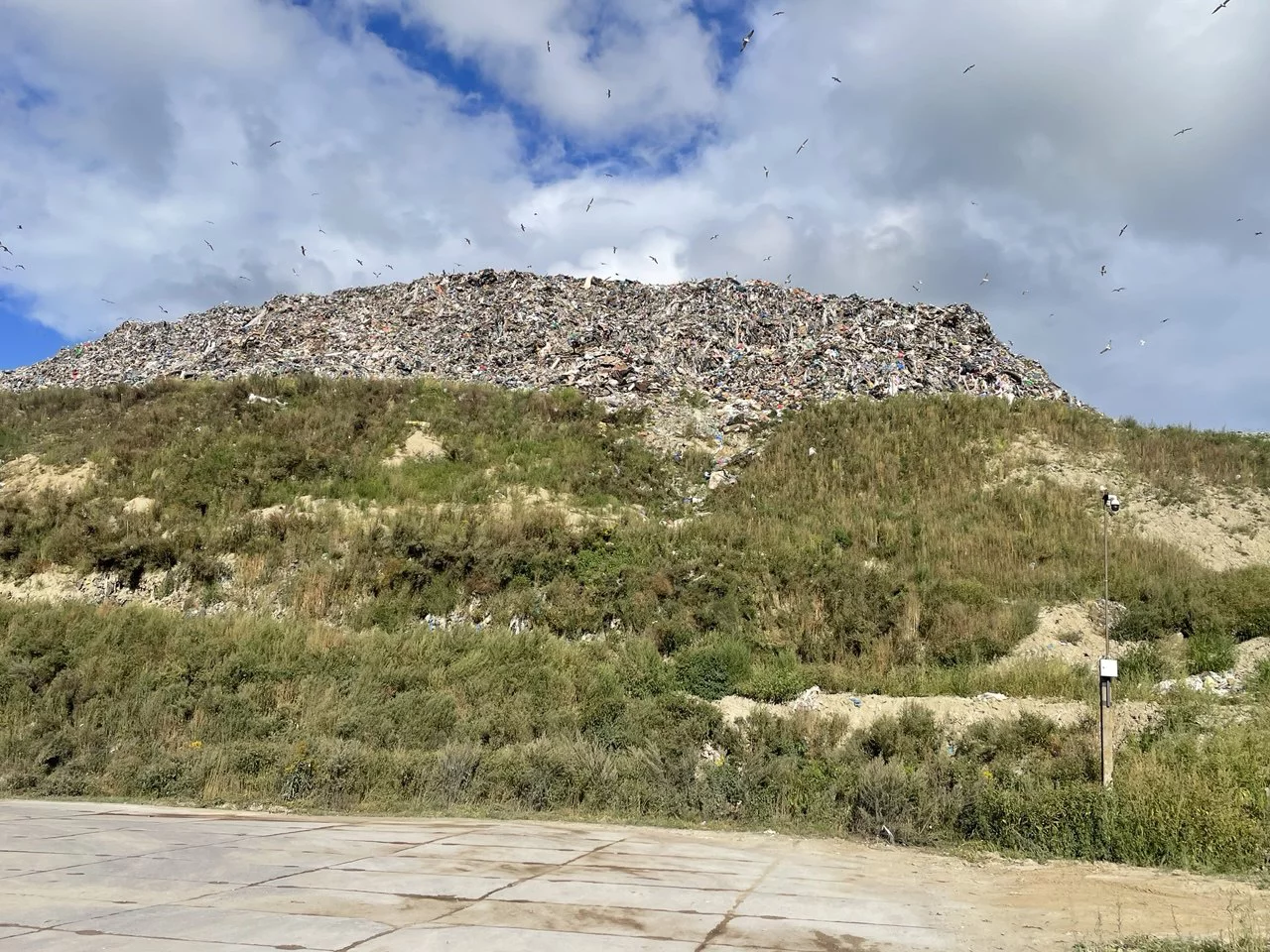 Марина Маркевич