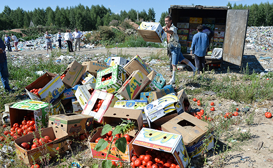 Уничтожение помидоров, задержанных на российско-белорусской границе, на полигоне бытовых отходов возле деревни Гусино в Смоленской области
