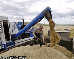 Правительство РФ частично сняло эмбарго на экспорт зерна 