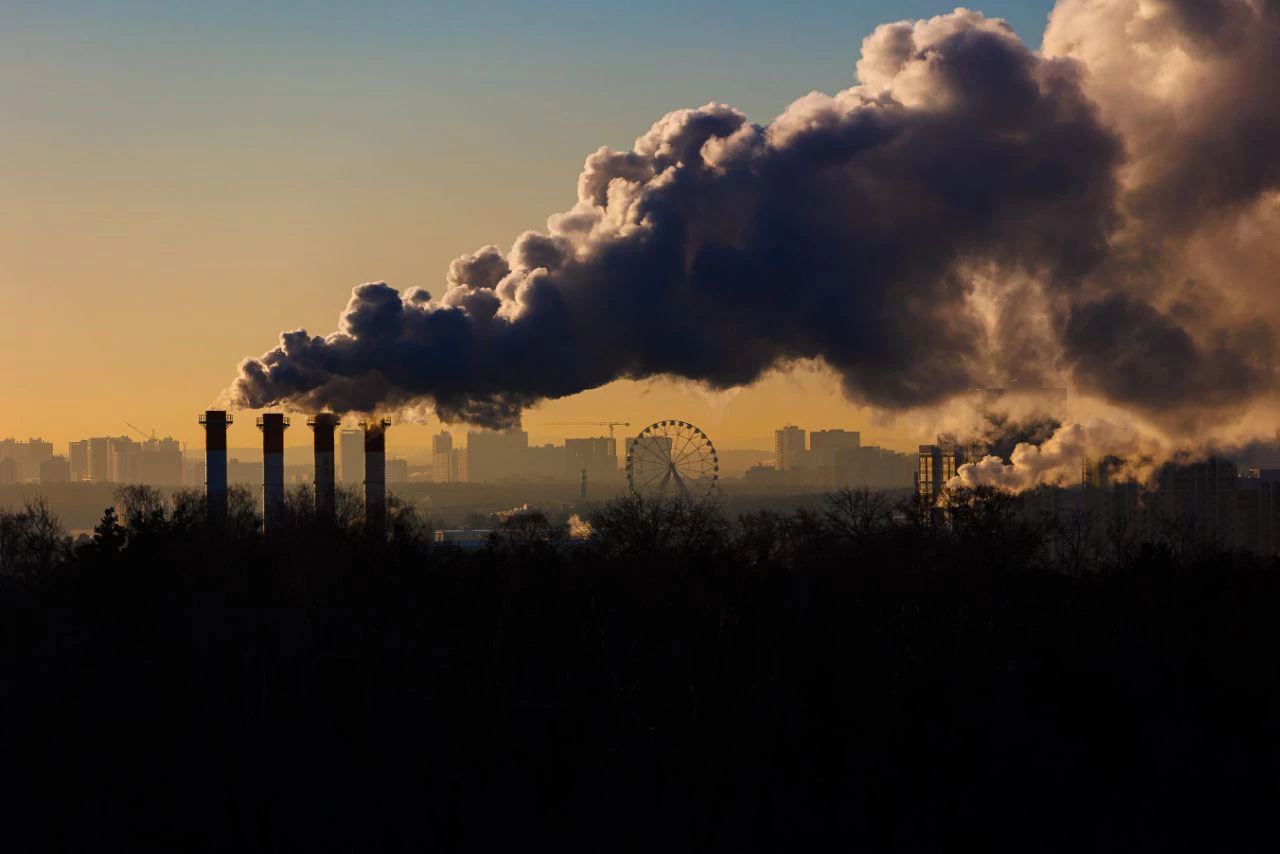 Антон Буценко для РБК Екатеринбург
