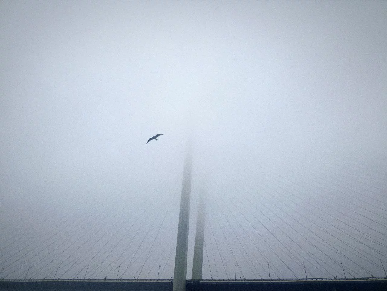 РБК Приморье