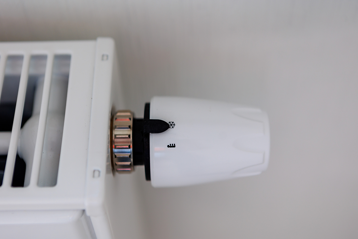 Фото: Антон Буценко, 66.RU