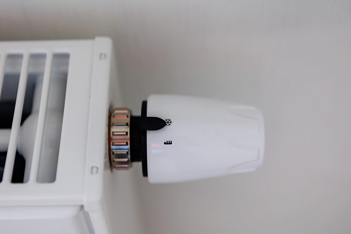 Антон Буценко, 66.RU