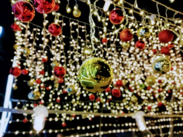 Алексей Коваленок / РБК Новосибирск 