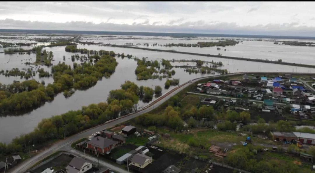 Игорь Васильев 