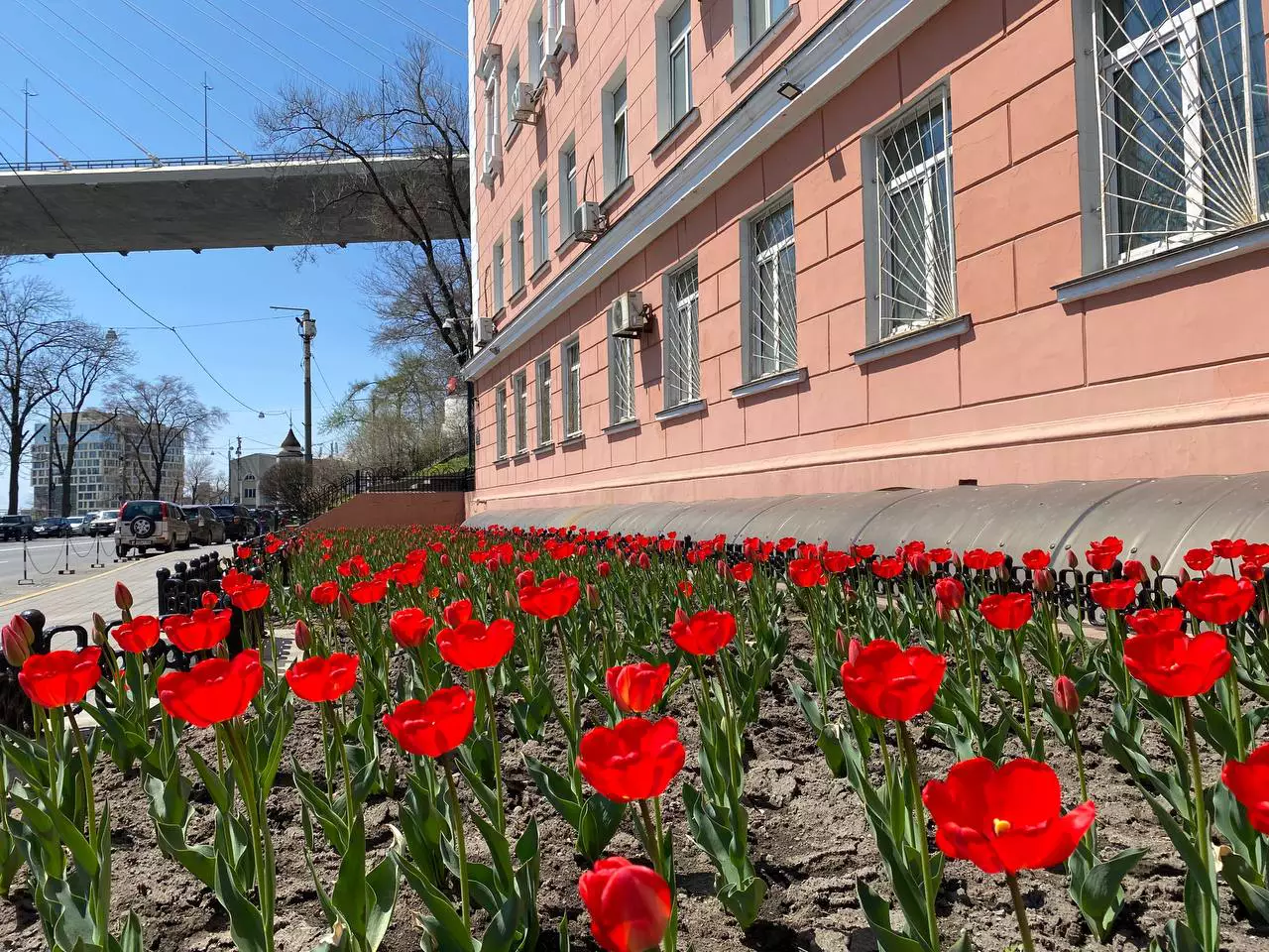 РБК Приморье