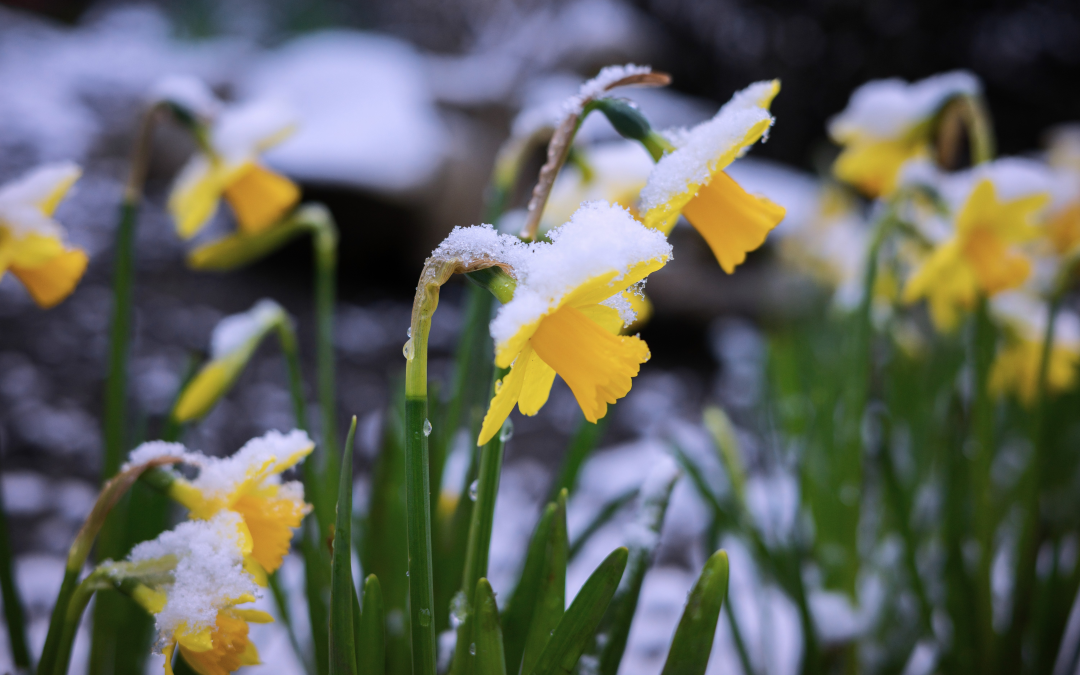 Фото: Shutterstock