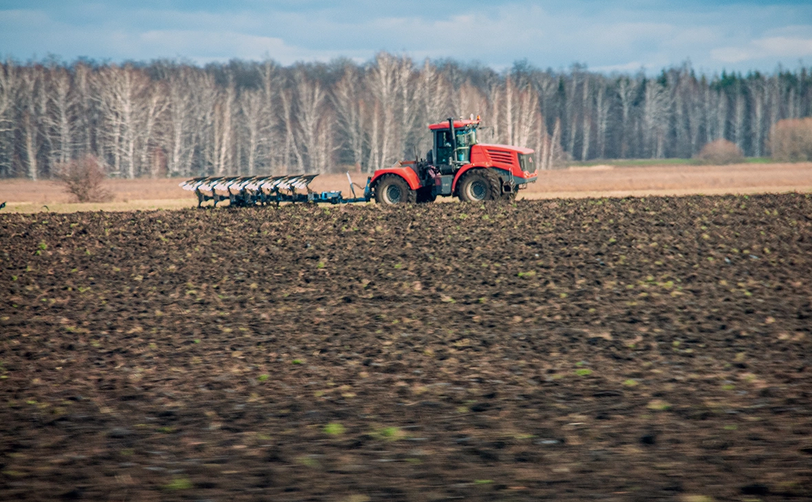 Светлана Возмилова / Global Look Press