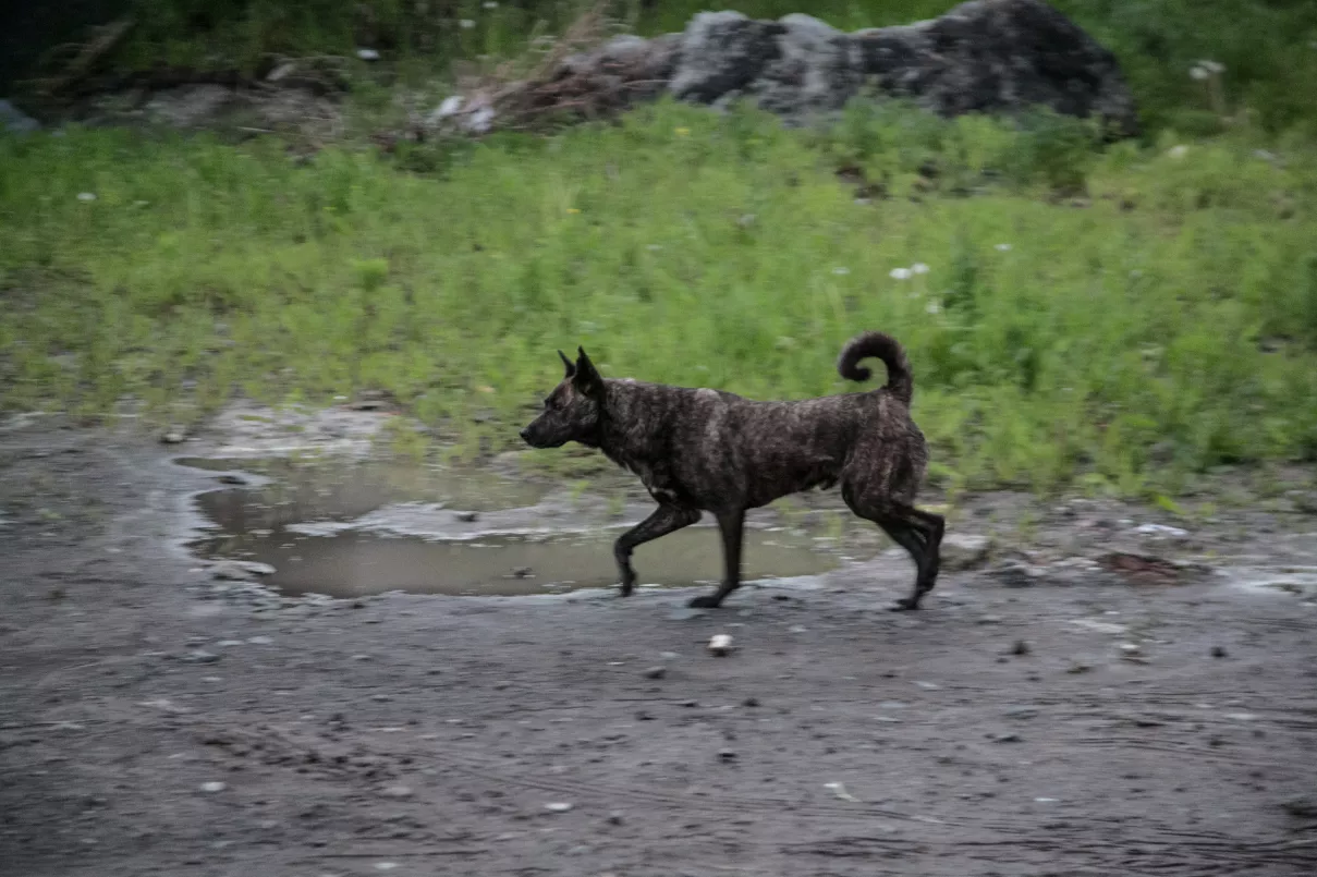 Дмитрий Ткачук / URA.RU