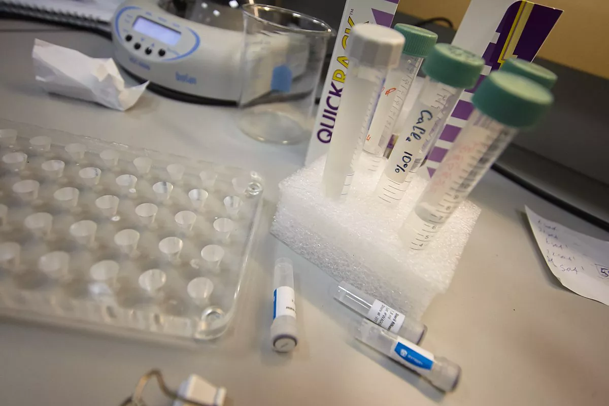 Александр Подгорчук