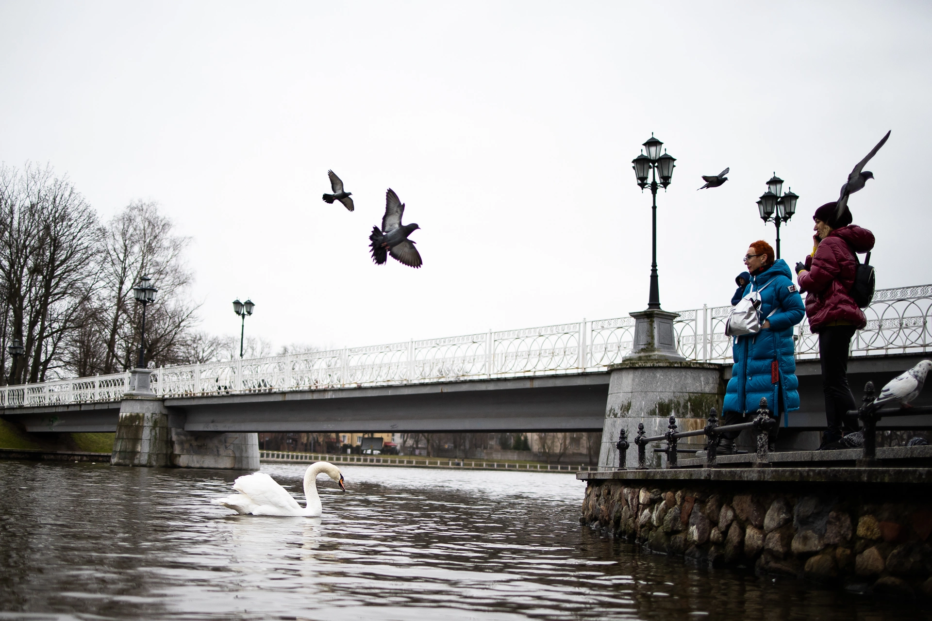 Александр Подгорчук