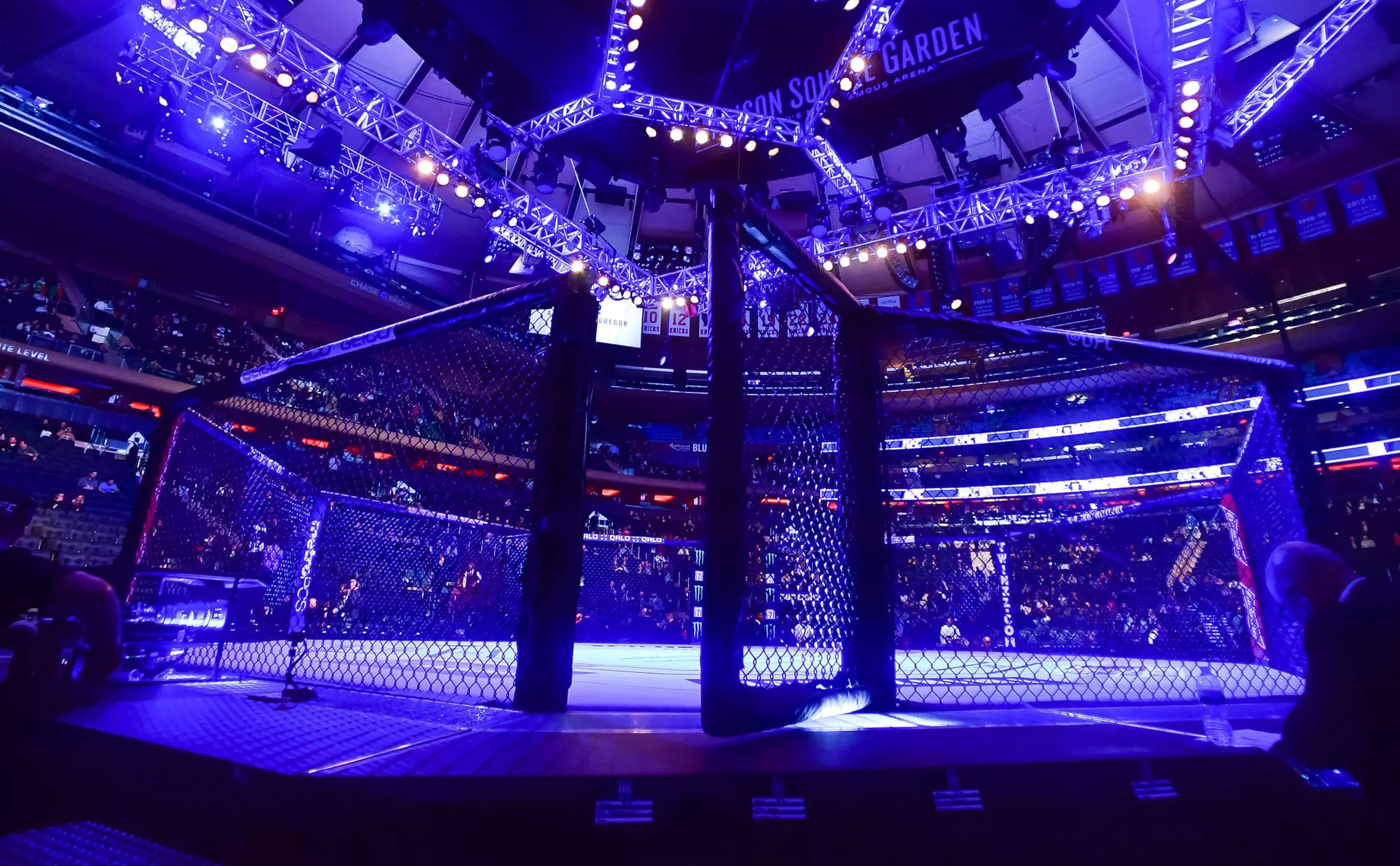 Jason Silva / Zumapress.com / Global Look Press