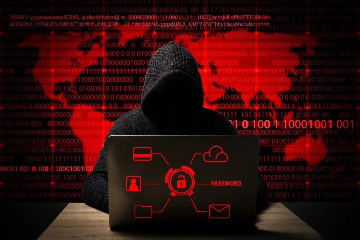 Фото: vk.com/spbairnet