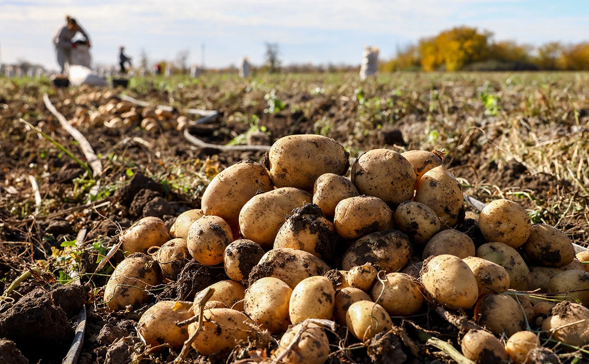 Сергей Мальгавко / ТАСС