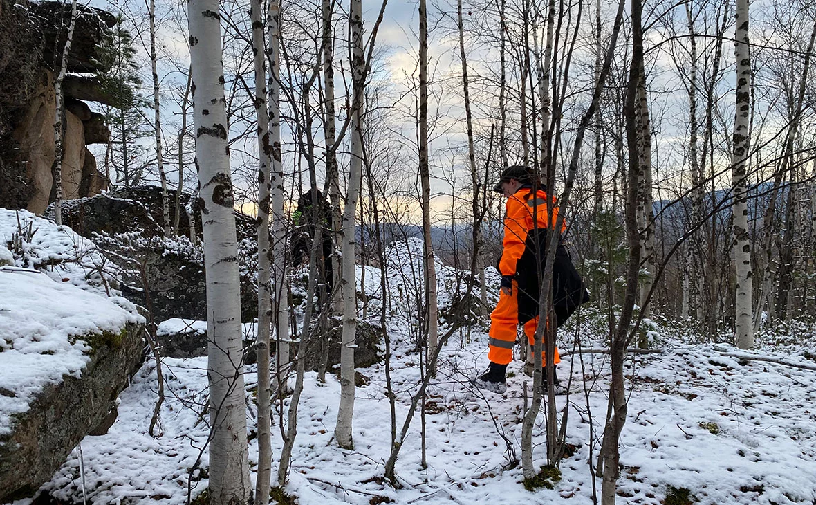 Поисково-спасательный отряд «ЛизаАлерт»