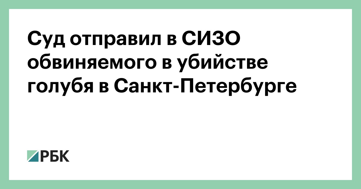 Суд отправил в СИЗО обвиняемого в убийстве голубя в Санкт-Петербурге