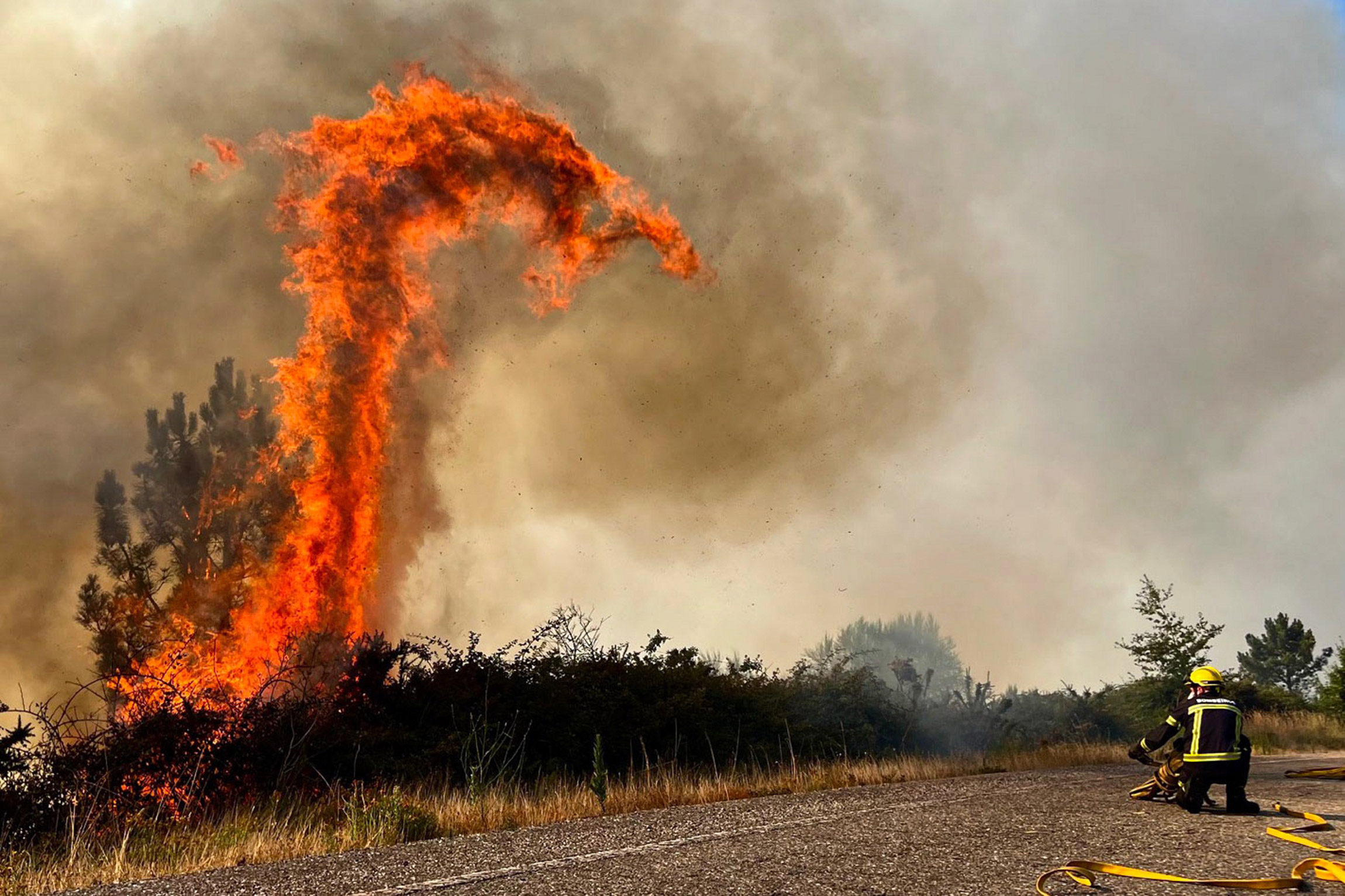 На фото: лесной пожар в Галисии, Испания, 31 июля.
Летом 2022 года Европа переживала аномально жаркое лето, а высокие температуры&nbsp;провоцировали лесные пожары. В 2022 году в Испании было зарегистрировано более 350 таких возгораний, они уничтожили около 230 тыс. га, больше, чем в любой другой стране Европы. За последние десять лет это стало рекордом для королевства. Около 96% лесных пожаров были вызваны деятельностью человека, 54%&nbsp;&mdash; поджогами, заявил генеральный секретарь Ассоциации инженеров лесного хозяйства Испании Рауль де ла Калле
