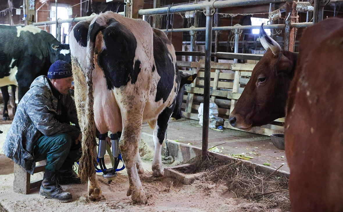 Наталья Шатохина / NEWS.ru / РБК
