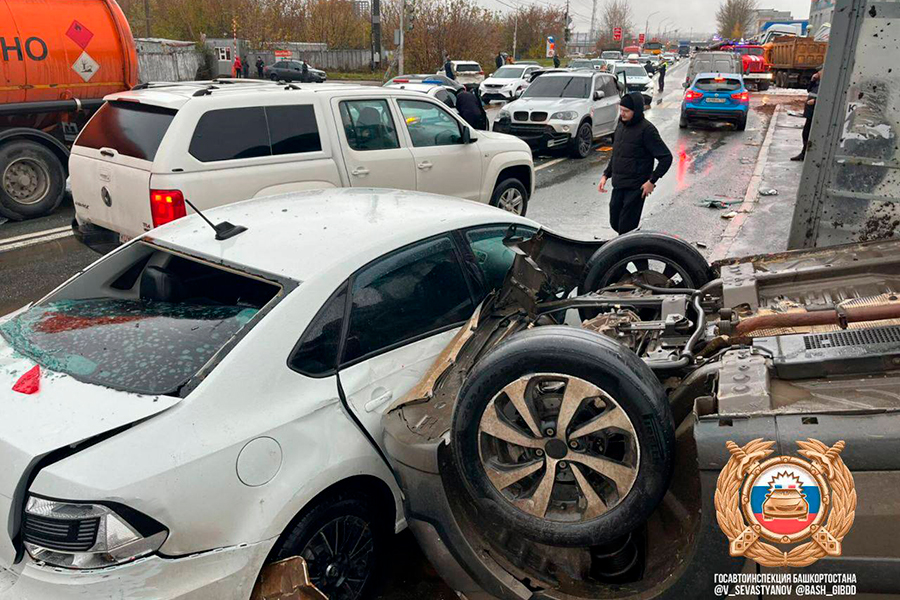 Фото: V_Sevastyanov / Telegram