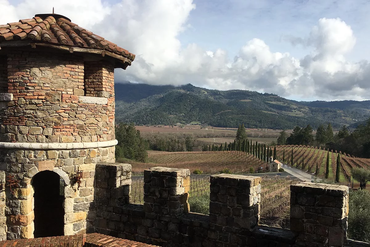 Строительство Castello di Amorosa началось в 1994 году. Для этого потребовалось более 8 тыс. т обработанного вручную местного камня и почти миллион старинных кирпичей, импортированных из Европы