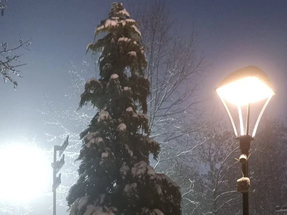 Марина Маркевич