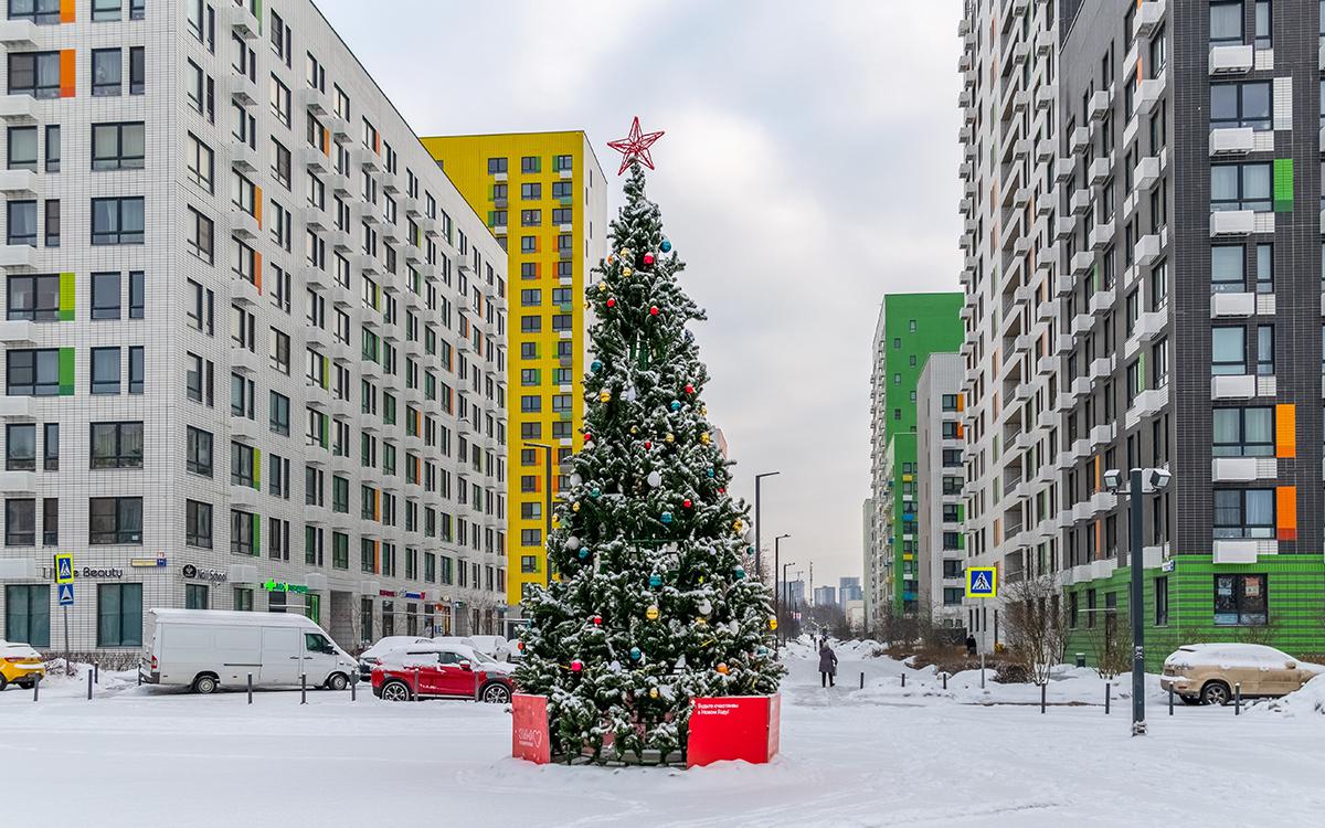 Фото: Kleymenov Valery / Shutterstock / FOTODOM