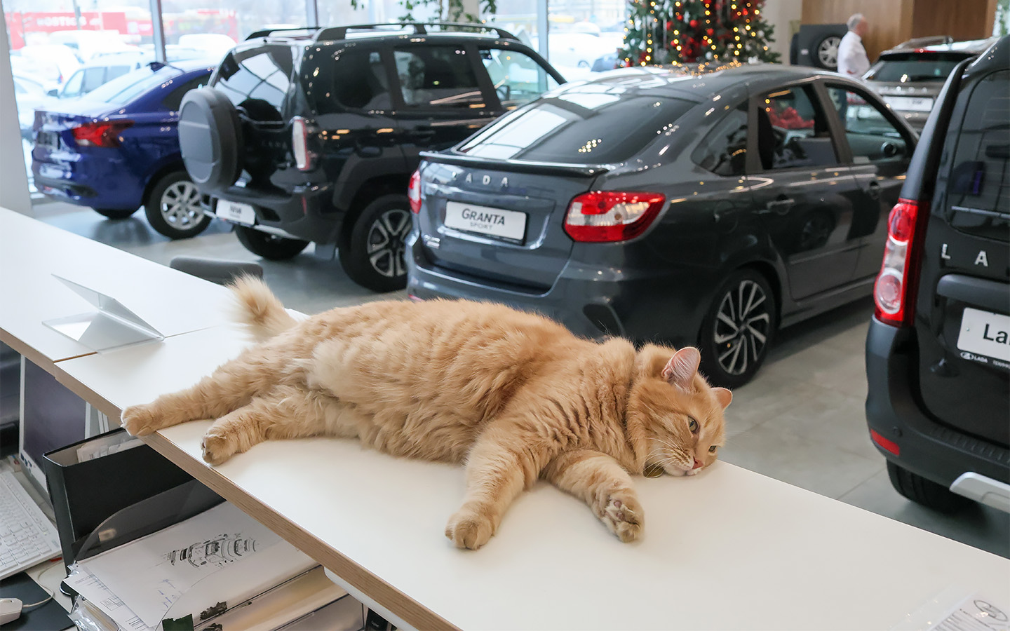 Фото: Belkin Alexey / NEWS.ru / Global Look Press