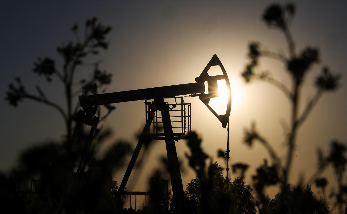 Фото