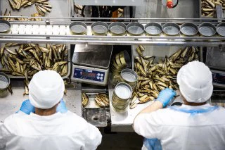 Александр Подгорчук