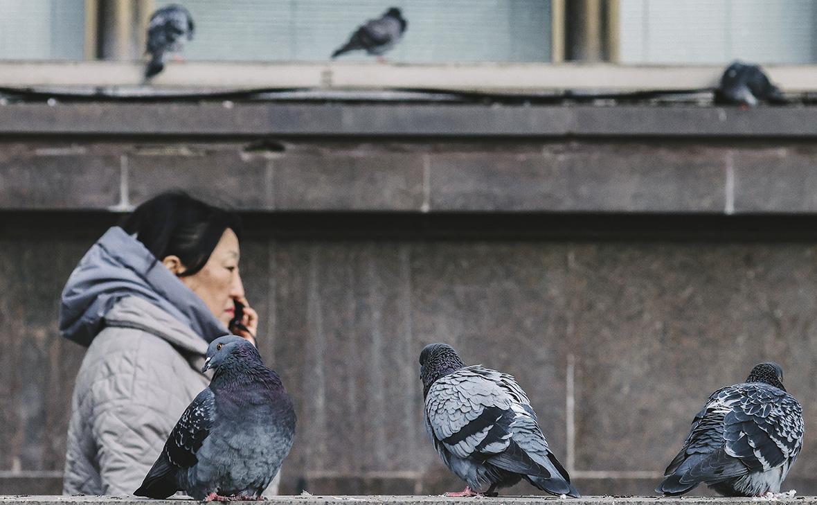 Фото: Андрей Любимов / РБК