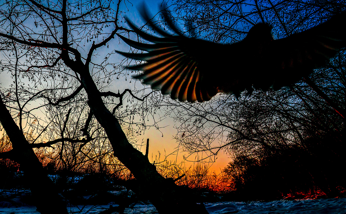 Юрий Смитюк / ТАСС