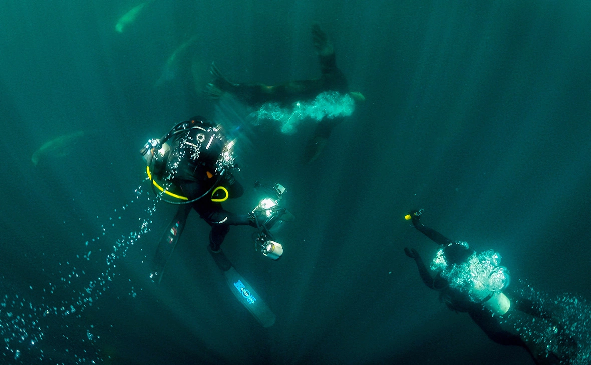 Юрий Смитюк / ТАСС