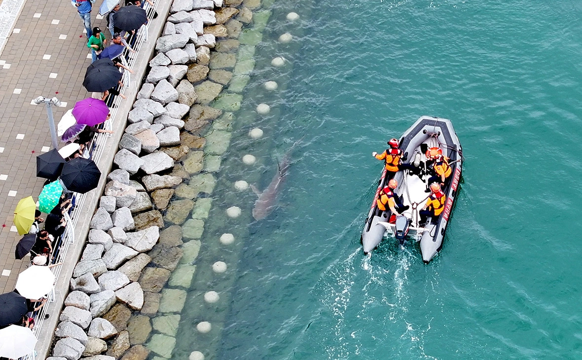 Yonhap / Reuters