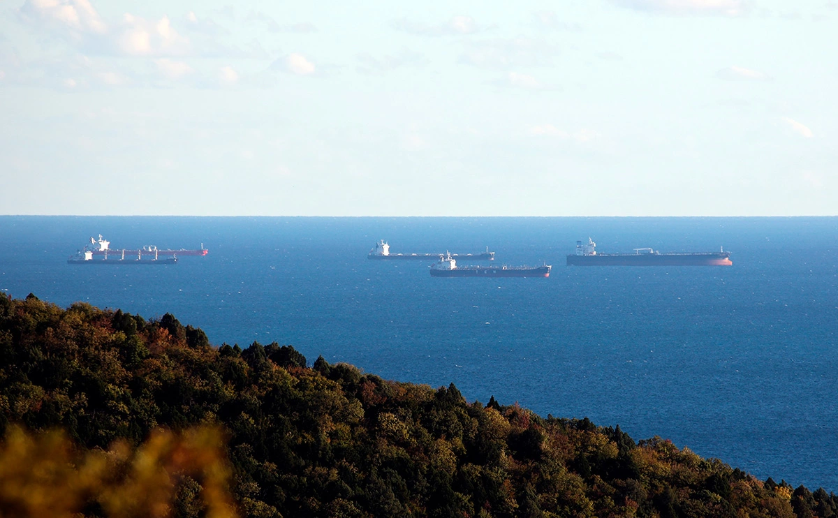 Виталий Тимкив / РИА Новости