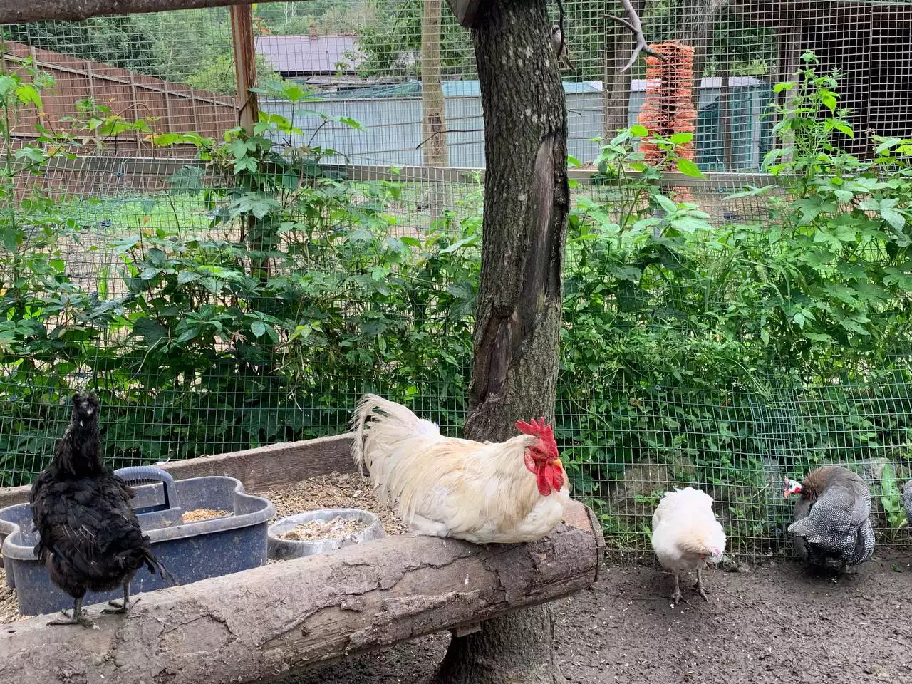 РБК Приморье 