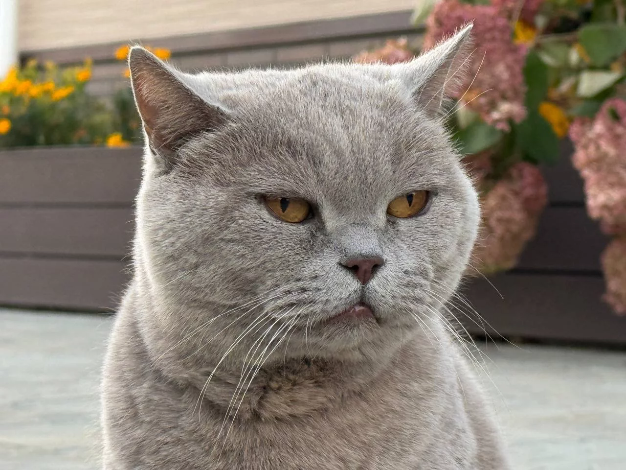 РБК Приморье