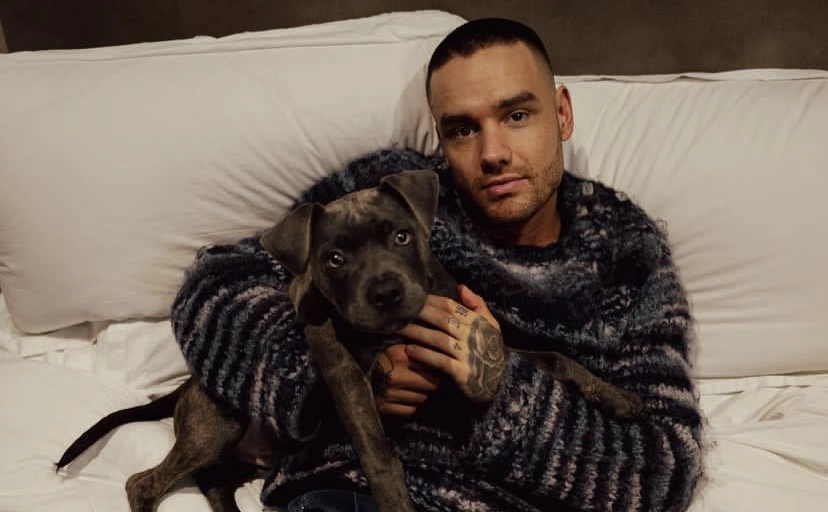 liampayne / Instagram (принадлежит Meta, признана экстремистской и запрещена в России)