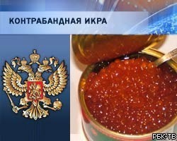 На Камчатке задержано 17 тонн контрабандной икры