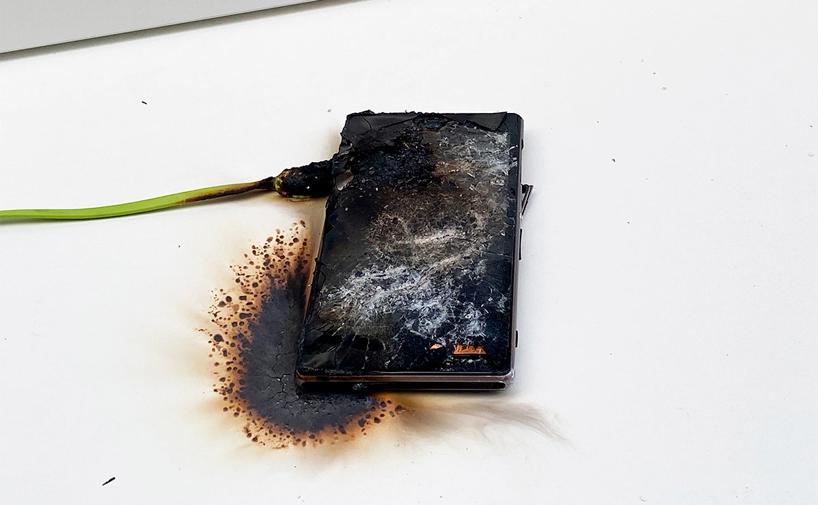 Maksim Safaniuk / Shutterstock